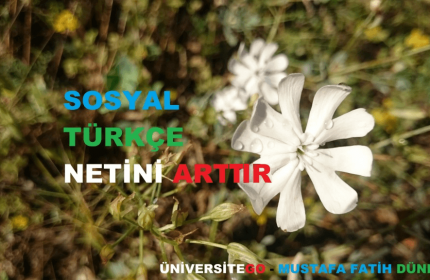 YGS Sosyal ve Türkçe Netini Arttır