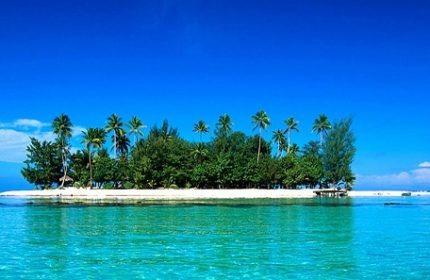 Issız Ada - ÜniversiteGO - ÜniversiteGO