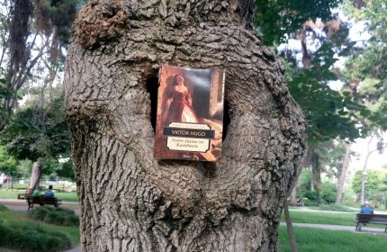 Notre Dame’ın Kamburu