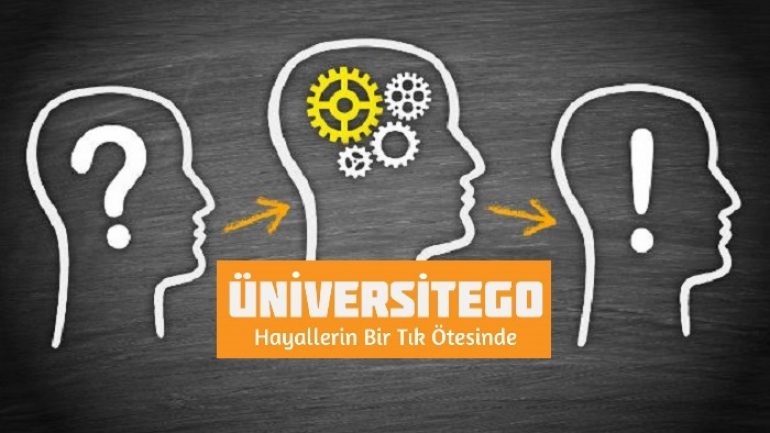 LYS Açık Uçlu Soru Örnekleri Yayınlandı !