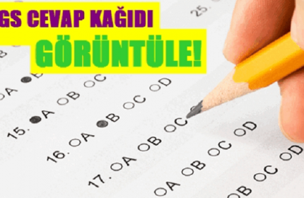 2017-LYS cevap kağıtları ve soru kitapçıkları erişime açıldı