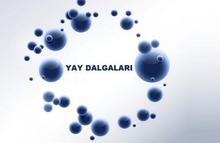 Yay Dalgaları Konu Anlatımı