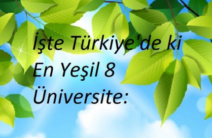 İşte Türkiyedeki En Yeşil 8 Üniversitesi