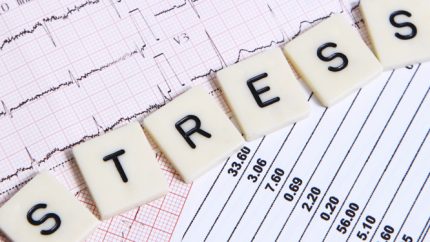 YKS Öncesi Stresle Başa Çıkmanın Yolları