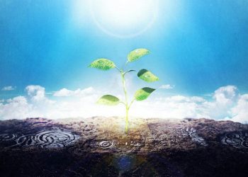 Yeni Başlayanlar İçin TYT-YKS Kaynak Önerileri