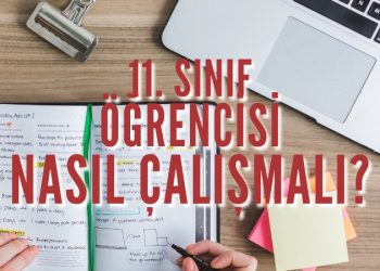 11. Sınıf Öğrencisi Nasıl Çalışmalı? Başarıya Götüren Tavsiyeler
