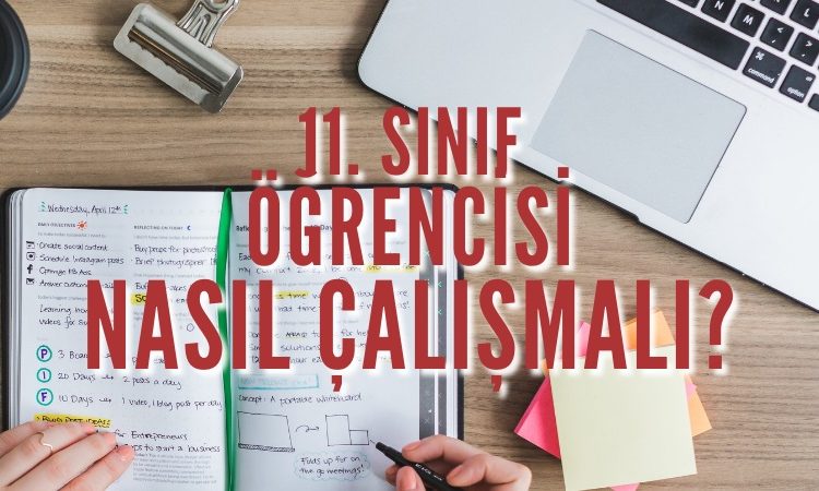 11. Sınıf Öğrencisi Nasıl Çalışmalı? Başarıya Götüren Tavsiyeler