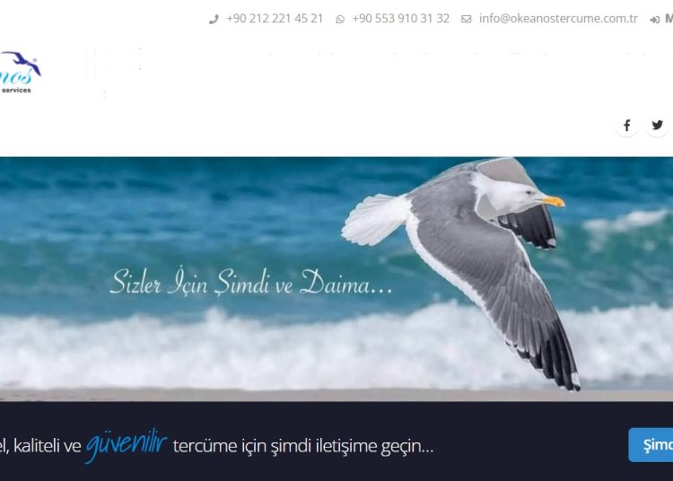 İngilizce Akademik Çeviri Taleplerinizde Kurumsal Çözüm, Okeanos Tercüme