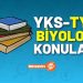 2026 TYT Türkçe Konuları ve Soru Dağılımı (ÖSYM-YÖK)