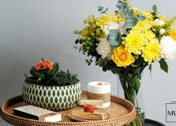 En Zarif Çiçek Seçenekleriyle Özel Günlere Anlam Katın!