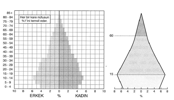 Beşeri Sistemler Konu Anlatımı