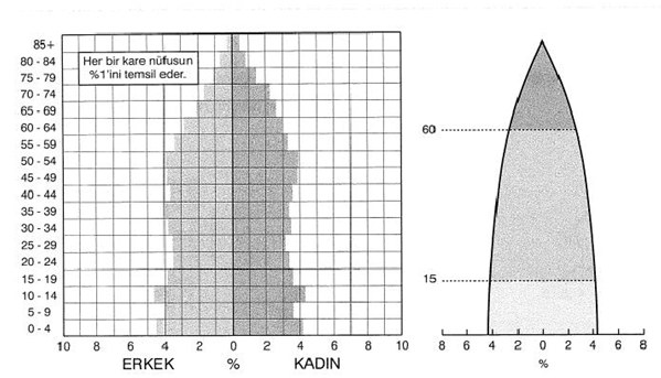 Beşeri Sistemler Konu Anlatımı