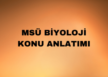 MSÜ Biyoloji Konuları ve Soru Dağılımı