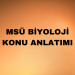 MSÜ Biyoloji Konuları ve Soru Dağılımı