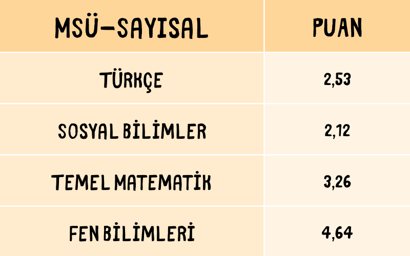 MSÜ'de 1 Net Kaç Puan Getirir?