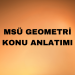MSÜ Geometri Konuları ve Soru Dağılımı