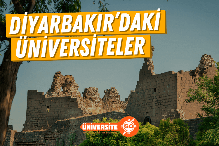 Diyarbakır'daki Üniversiteler