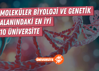 Moleküler Biyoloji ve Genetik Alanında En İyi 10 Üniversite