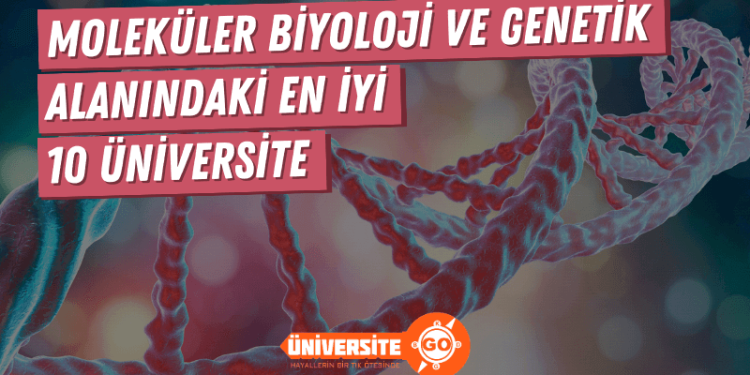 Moleküler Biyoloji ve Genetik Alanında En İyi 10 Üniversite
