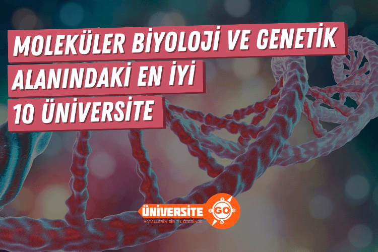 Moleküler Biyoloji ve Genetik Alanında En İyi 10 Üniversite