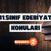 11. Sınıf Edebiyat Konuları