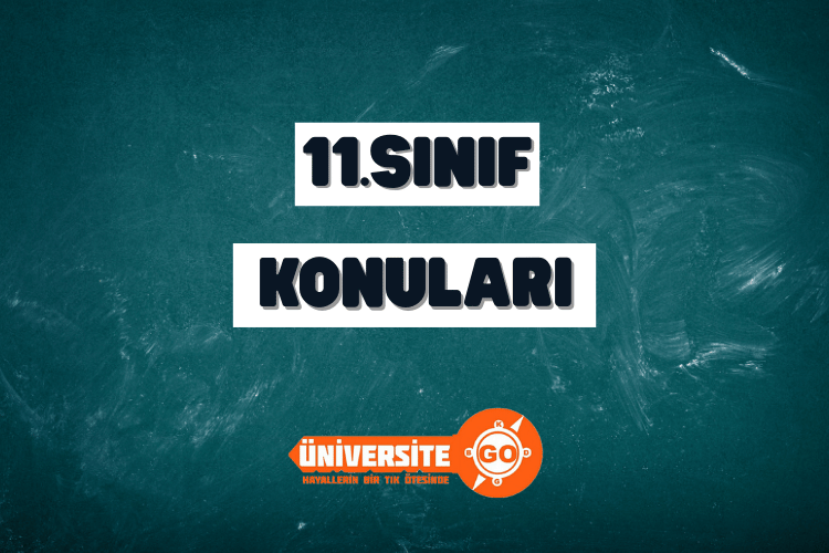11. Sınıf Konuları ve Müfredatı