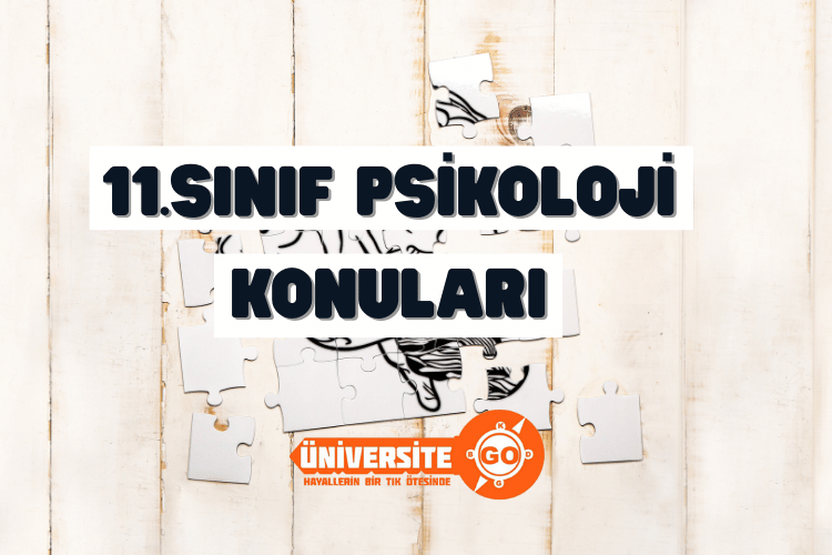 11. Sınıf Psikoloji Konuları