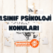 11. Sınıf Psikoloji Konuları