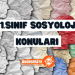 11. Sınıf Sosyoloji Konuları