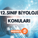 12. Sınıf Biyoloji Konuları