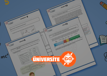 MEB 1. Dönem 2. Ortak Yazılı Sınavlar Örnek Soruları