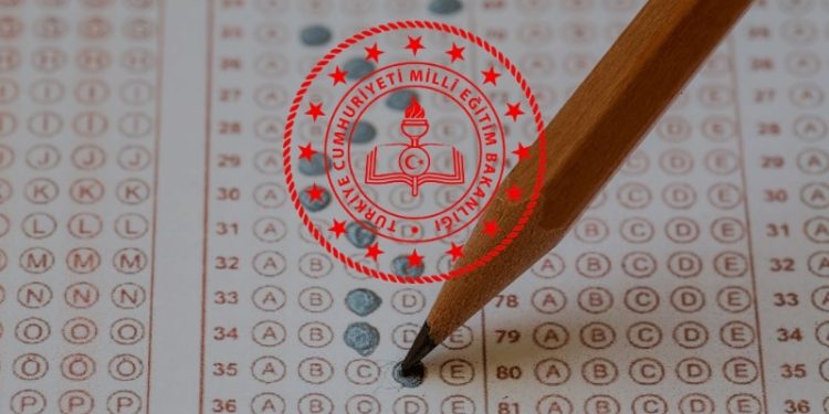 MEB örnek soruları